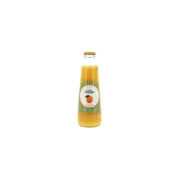 Looza orange 24x0.20l vp