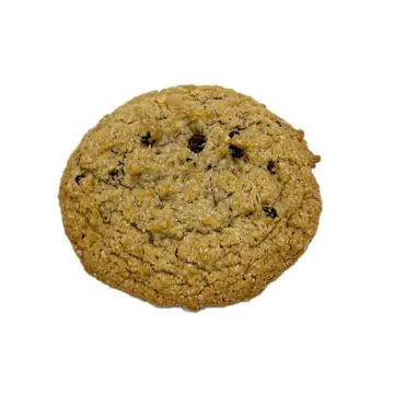 Oatmeal cookie raisins 5002070