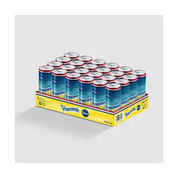 Salaam yemonade 24x33cl