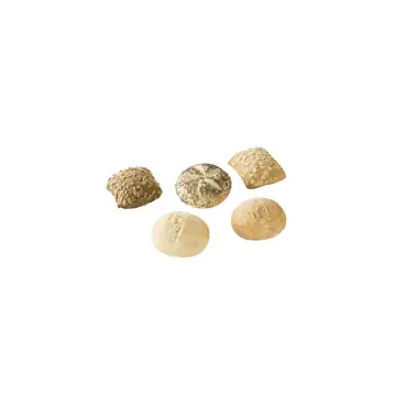 Pastridor assortiment resto 100st 222864