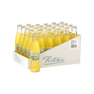 Ritchie orange blik 24x33cl